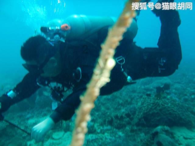 汤姆的灵魂